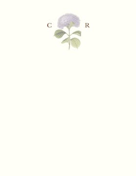 Hydrangea Bloom Flat Notecard on White Eggshell (cream)