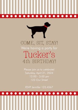 Tucker Dog Invitation