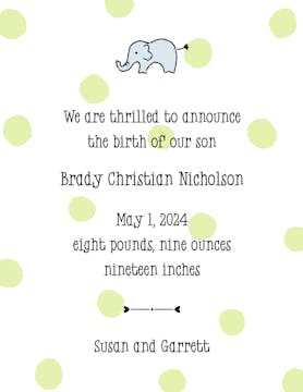 Big Dots Lime  Birth Announcement