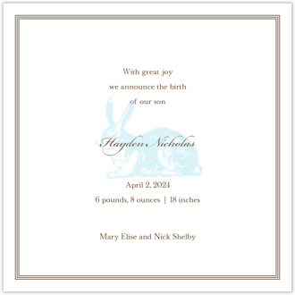 Spring Hare Powder Square Boy Birth Announcement
