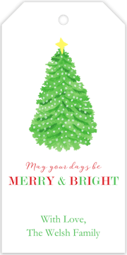 Merry & Bright Hanging Gift Tag