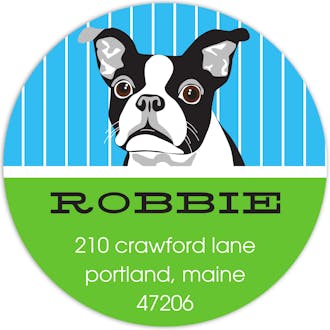 Boston Terrier Pinstripe Label